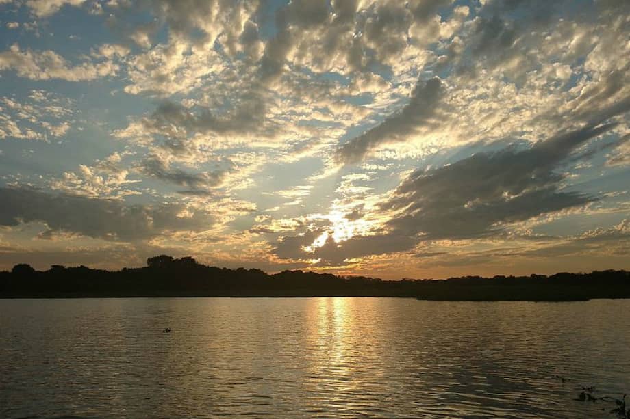 Imagen de la Ciénaga de Zapatosa. / Wikimedia - Creative Commons / Evetila24