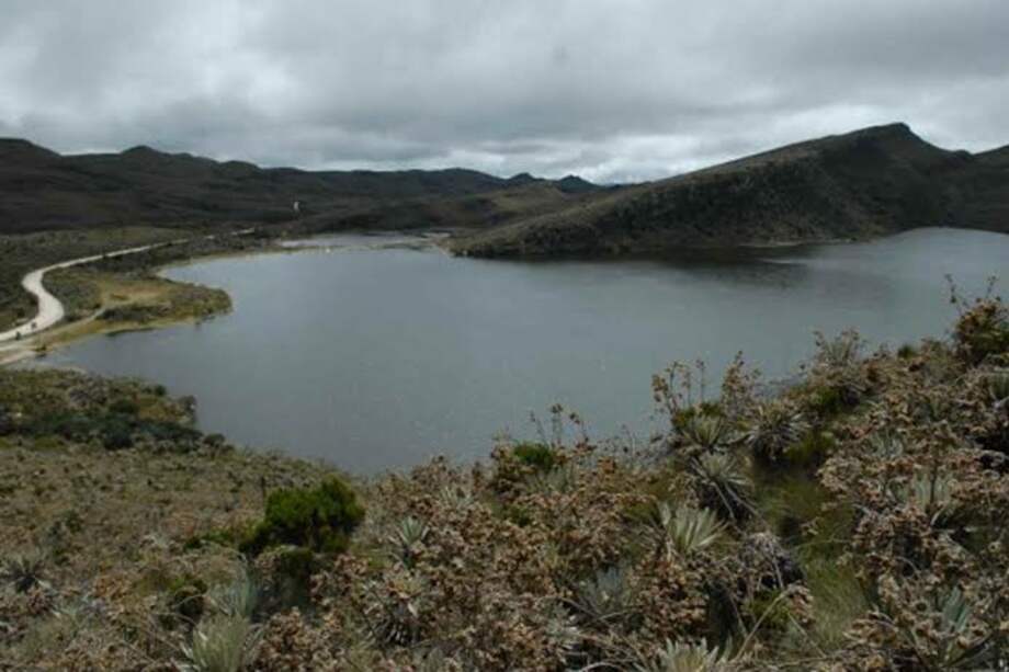 Identifican 25.000 nuevas hectáreas de páramos en Antioquia