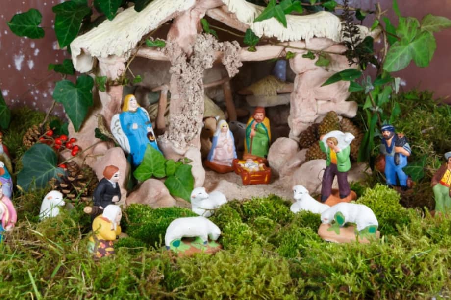 Un kilo de musgo puede tardar hasta 7 años en regenerarse.