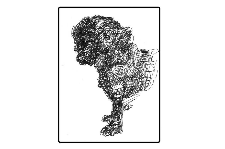 Legitimidad, legalidad