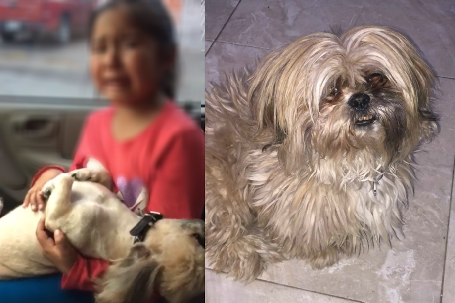 Tomadas de Facebook (Ylaltic Moxxa)