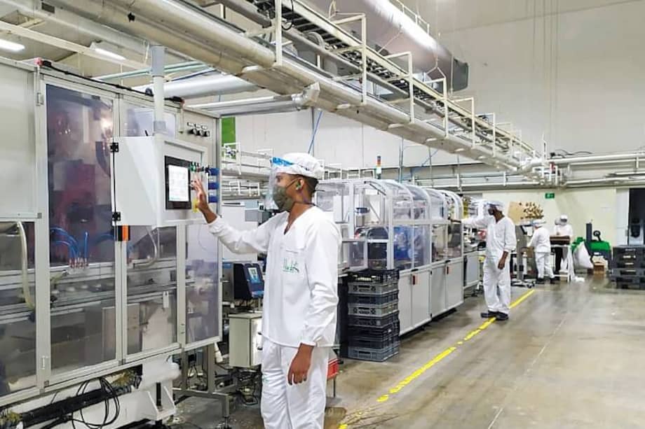 Esta es la planta de Hada Internacional en Barranquilla. / Archivo particular