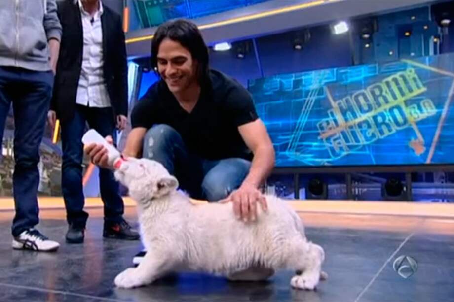 Falcao García, sensación en el programa 'El Hormiguero' de Antena 3