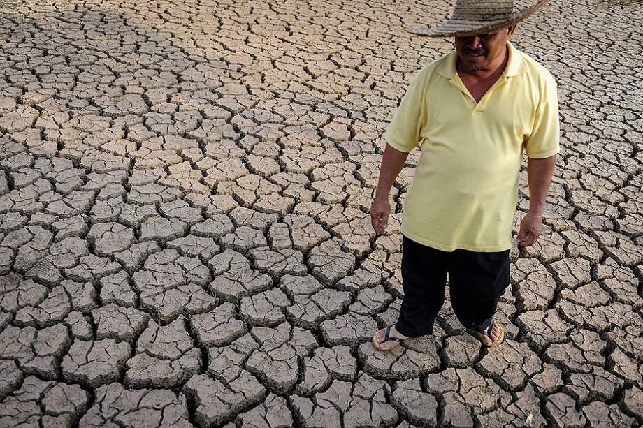 La Organización Meteorológica Mundial (OMM) explicó que las altas temperaturas no se registran solo en Europa, sino también en todo el mundo. / EFE