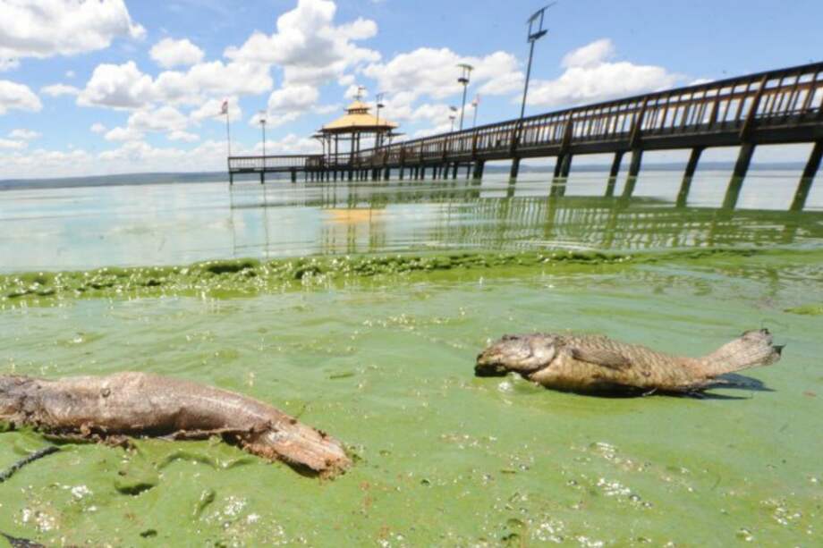 Recuperar el lago Ypacaraí en Paraguay costará más de US$ 520 millones