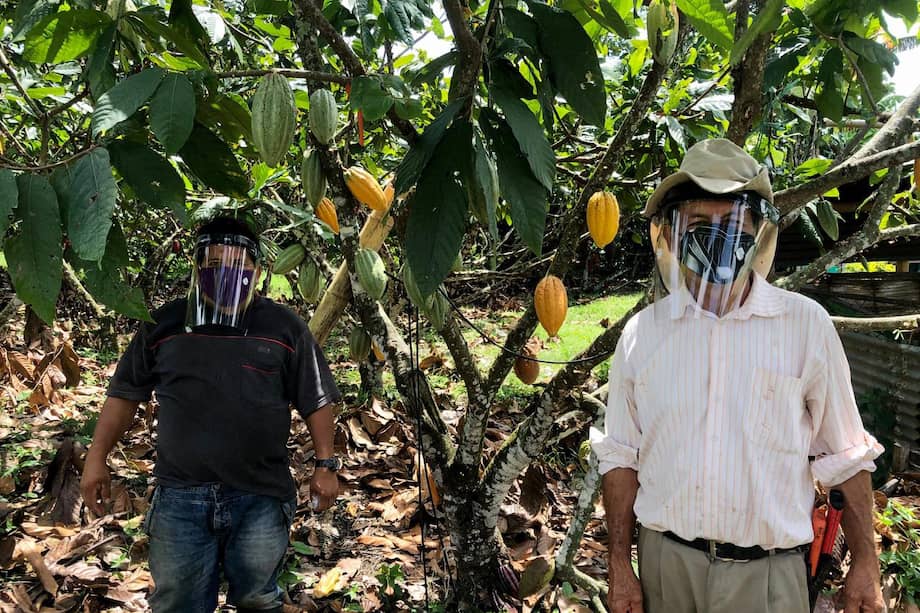 La colaboración y el trabajo compartido, son vitales para entender cómo las estrategias funcionan para crear soluciones creativas y contundentes /