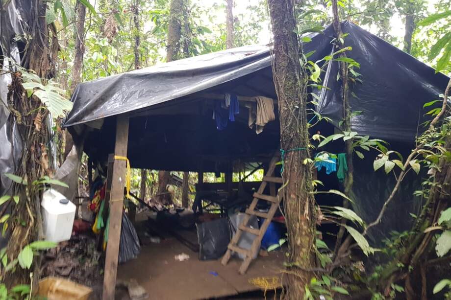 En lo que va corrido del año se han destruido 130 laboratorios al mando de alias "Guacho". / Cortesía Ejército Nacional.