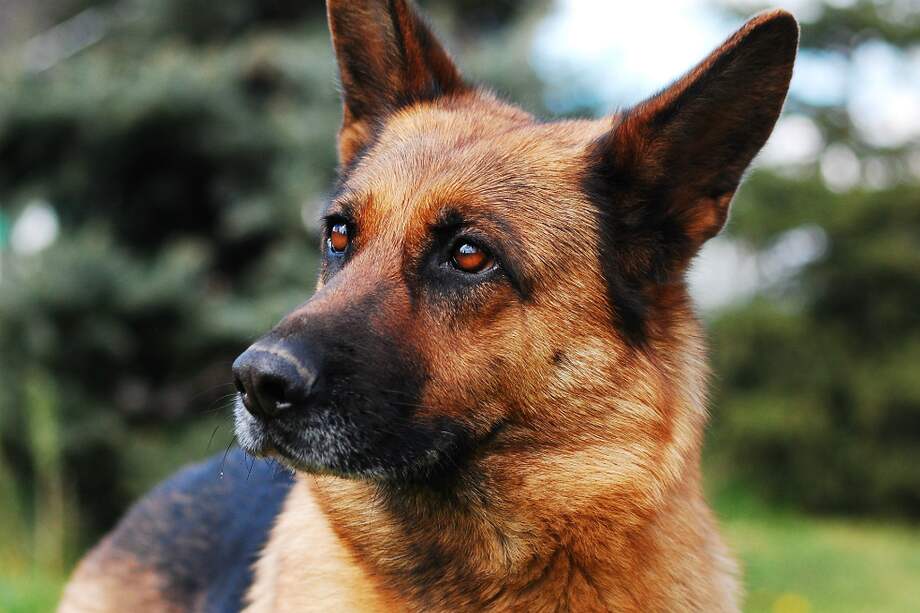 Foto de referencia. / Pixabay