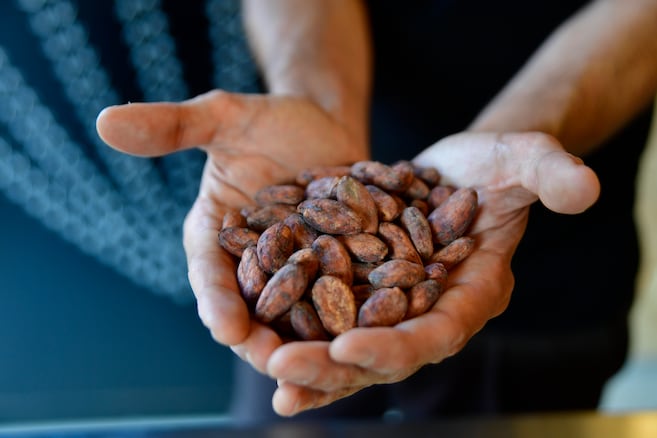 "Cualquier preferencia de consumo es gesto político": Baglio La Rotonda, de Cacao Disidente
