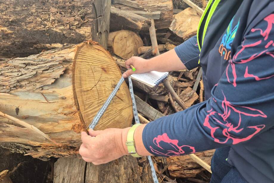 Freno a la actividad de quemas a cielo abierto.