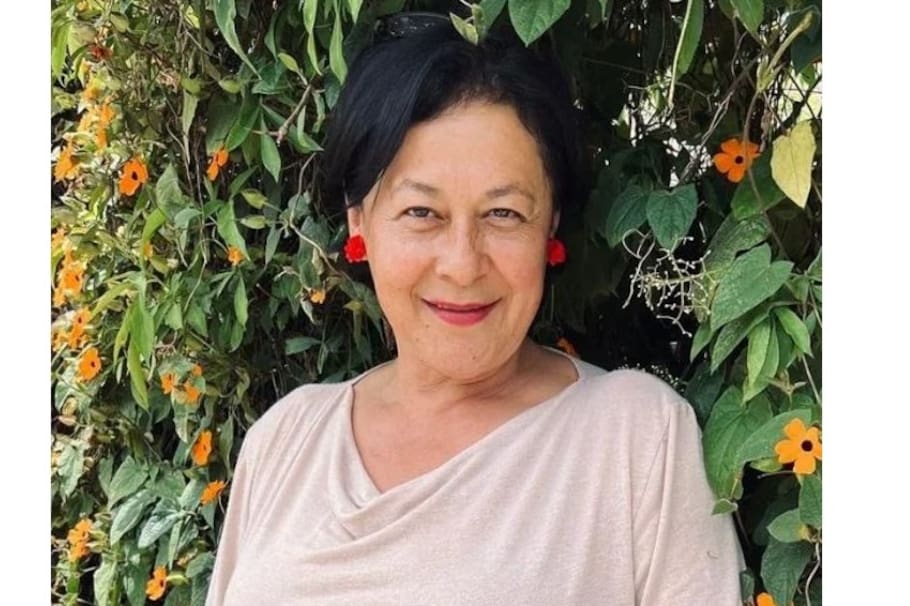 Luego de su paso por el quirófano, Alina Lozano compartió cómo quedó. El resultado dejó sorprendido a más de uno: “no parece ella”.