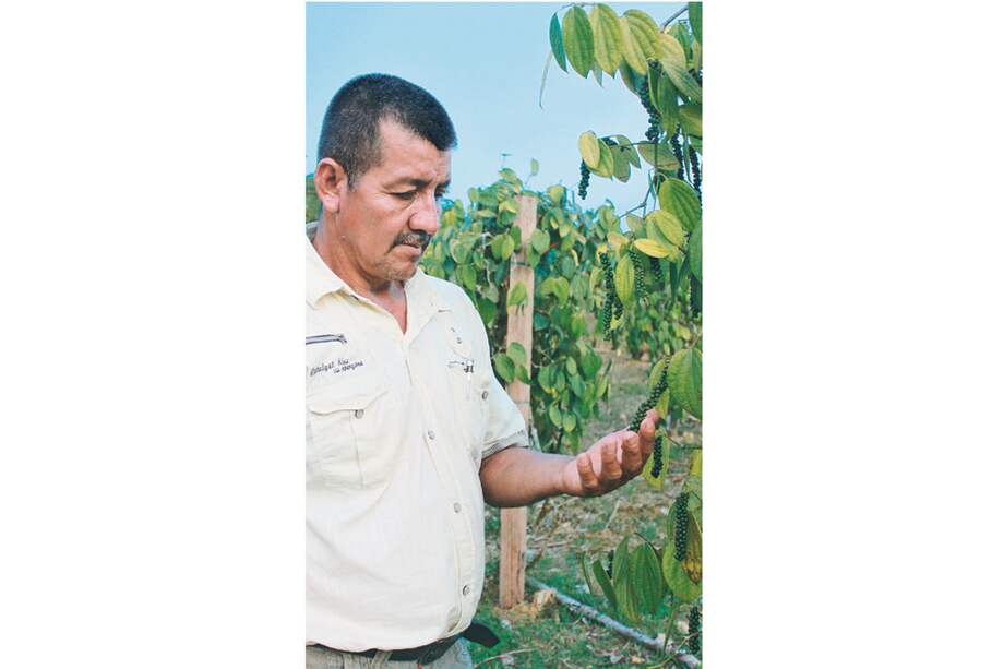 Rodrigo Trujillo es uno de los nominados en la categoría Gestos de paz./ Carlos Barragán