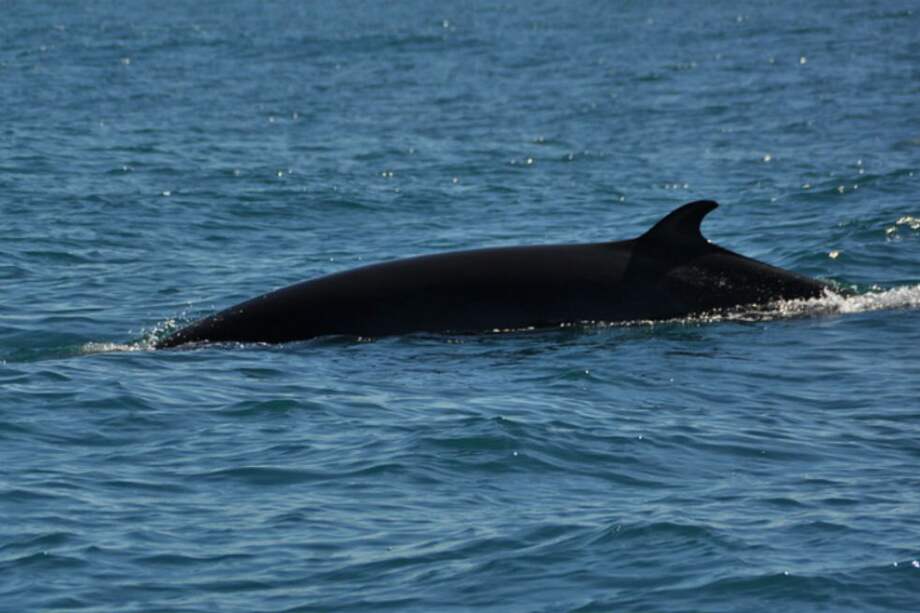 Tomada de Pixabay-Referencia