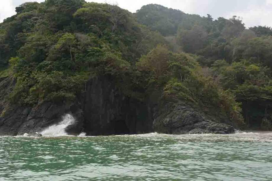 Esta nueva área protegida, contribuye a mantener la biodiversidad marina. Foto: Cortesía Parques Nacionales Naturales