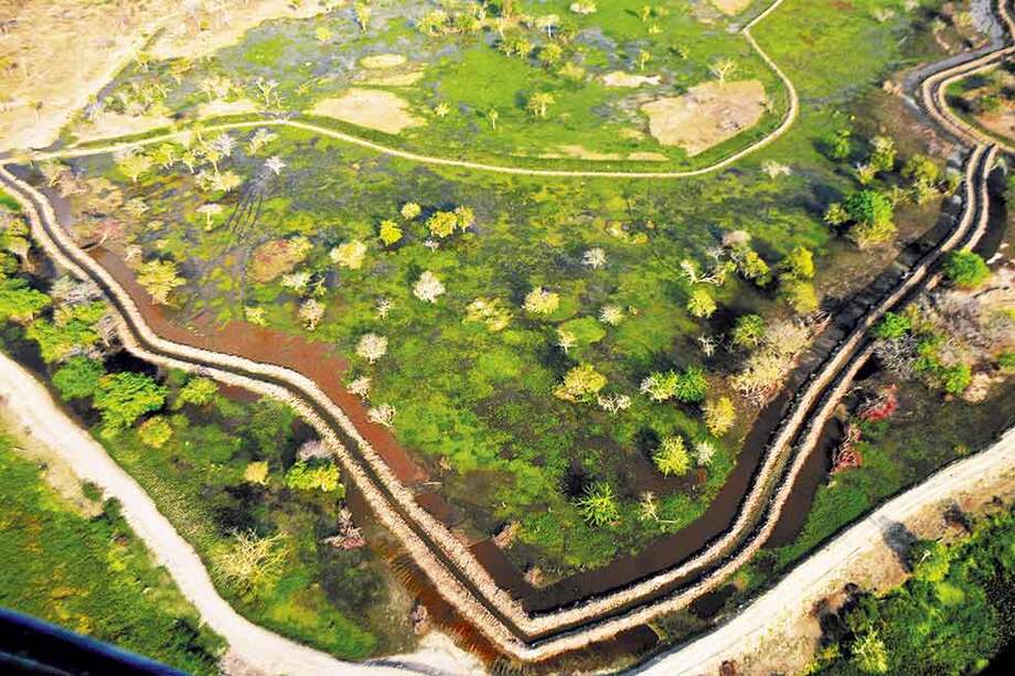 El fin de semana Corpamag hizo un operativo cerca del caño Condazo, donde opera Agropecuaria RHC. / “El Heraldo”