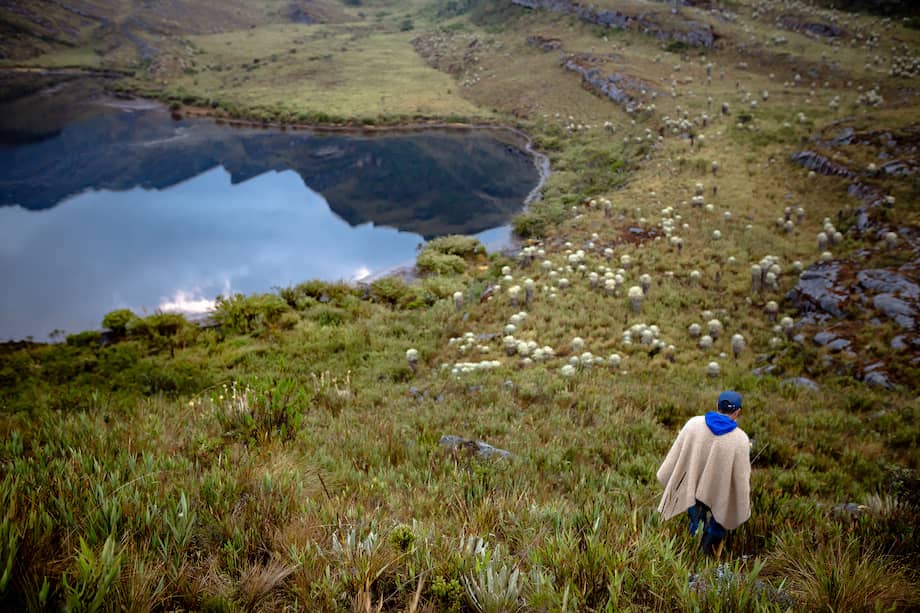 La Casa Humboldt es una experiencia viva y en movimiento. Inició en 2024 durante la COP16 como un espacio de encuentro entre la ciencia, la cultura y la ciudadanía.
