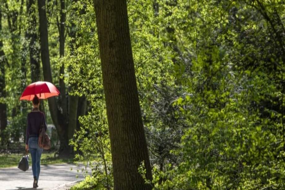 Una mujer pasea por el parque Tiergarten en Berlín (Alemania). / EFE/OMER MESSINGER