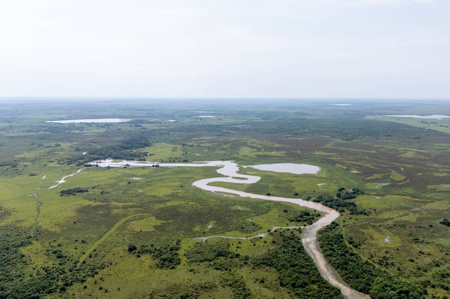 Se estima que Colombia concentra cerca del 6 % del agua dulce superficial del planeta.