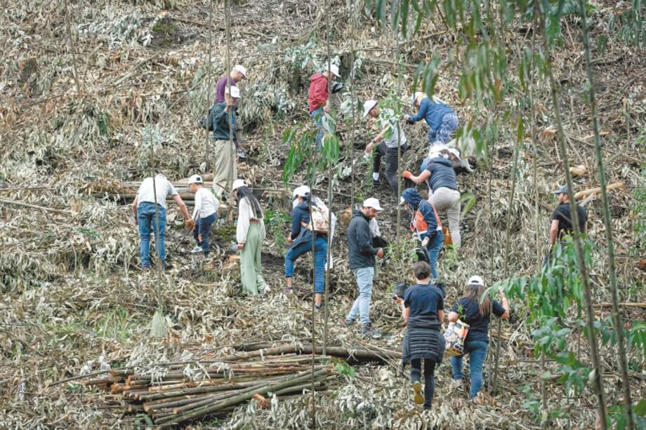 La sostenibilidad es pilar en el sector automotor