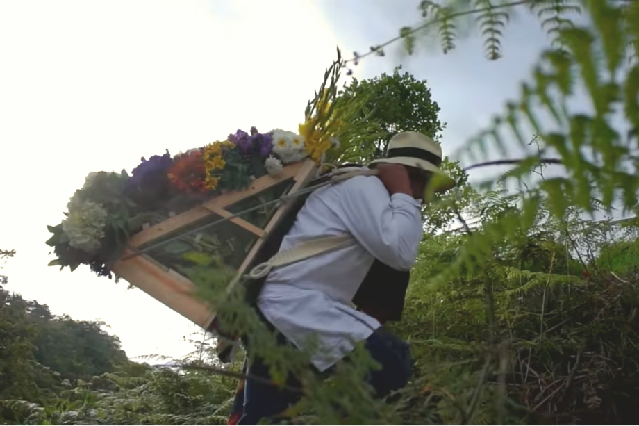 Foto: captura de pantalla Youtube/Alcaldía de Medellín.