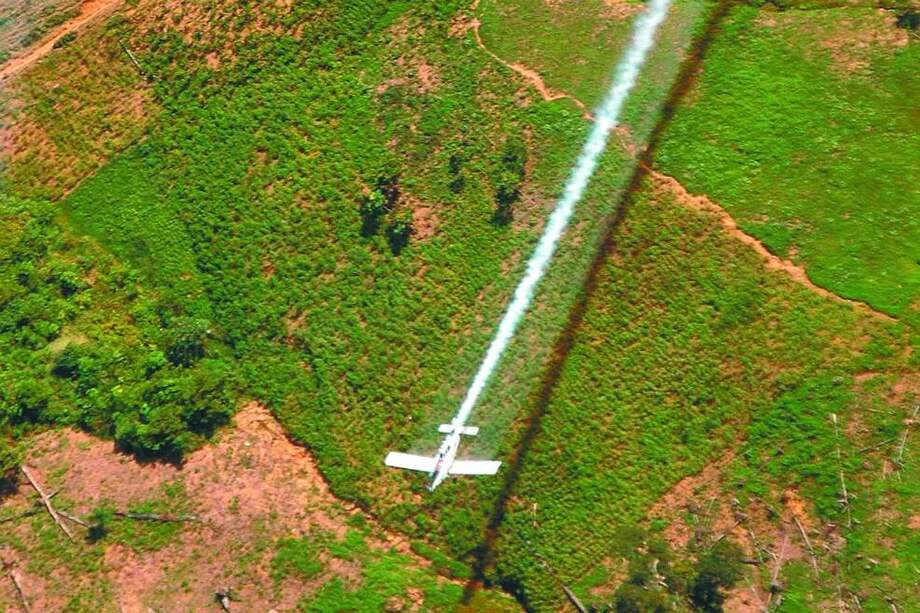 Desde comienzos del 2019 el Gobierno planteó la posibilidad de volver a usar glifosato como una forma de combatir los cultivos ilícitos, desde entonces quienes están en contra del uso del herbicida han dejado ver sus argumentos para evitar el uso del químico. / AP