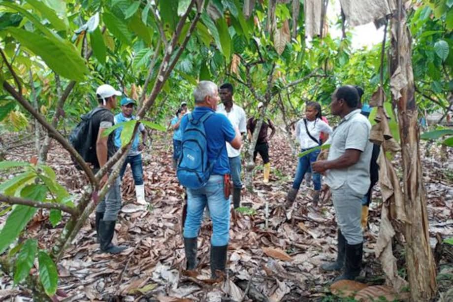 El desfalco se habría dado a los proyectos de los municipios más golpeados por la guerra.