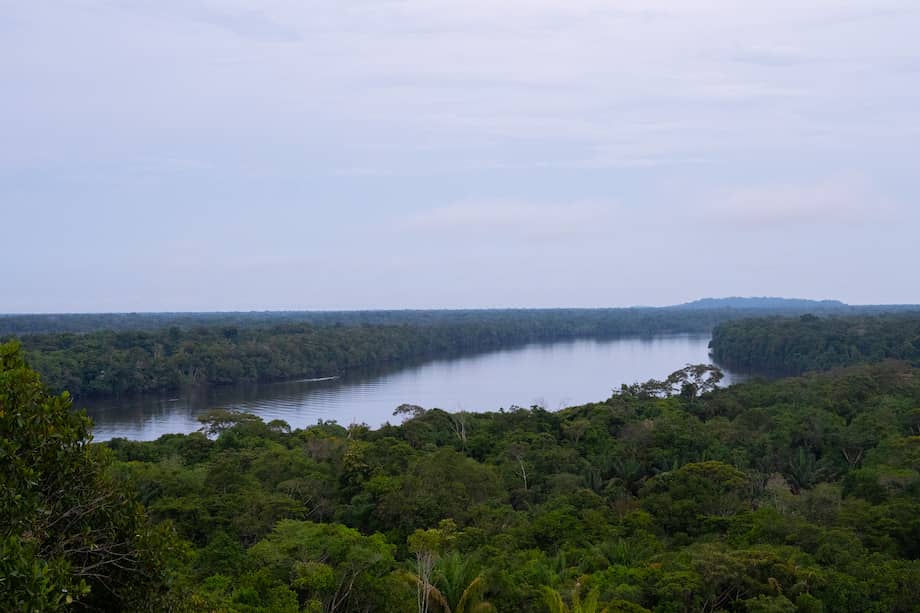 Imagen de Vaupés, donde se amplió un resguardo.