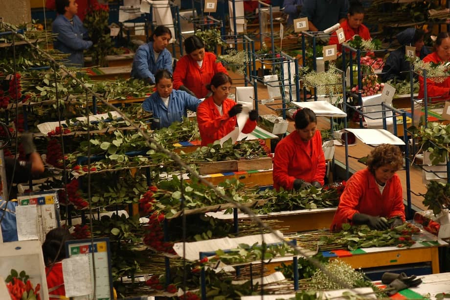 Las flores, junto con el café, siguen siendo el producto más atractivo del mercado colombiano para los Estados Unidos. /Archivo