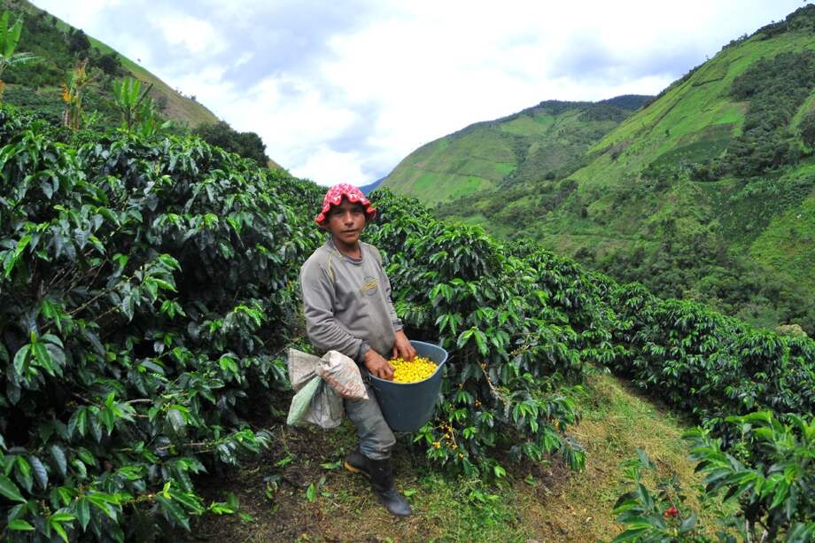 Más de 1.700 campesinos buscaron ser incluidos en el próximo censo nacional a través de una tutela. No hubo éxito. / Cristian Garavito - El Espectador