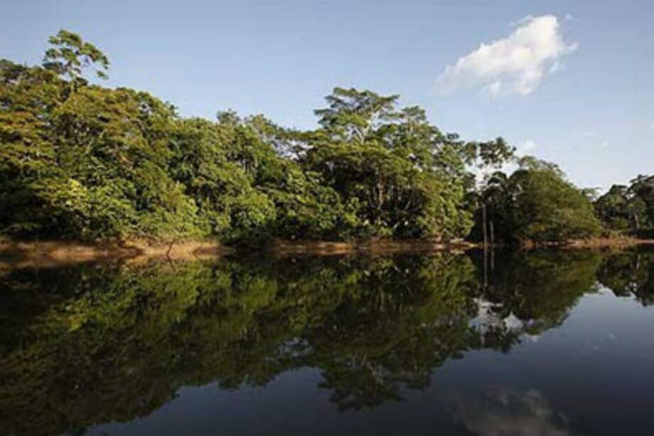 Ecuador desiste por ahora de audaz plan ambiental por necesidad de petróleo