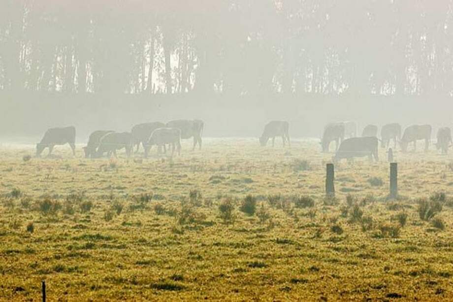 Bajas temperaturas causan heladas en Cundinamarca y Boyacá