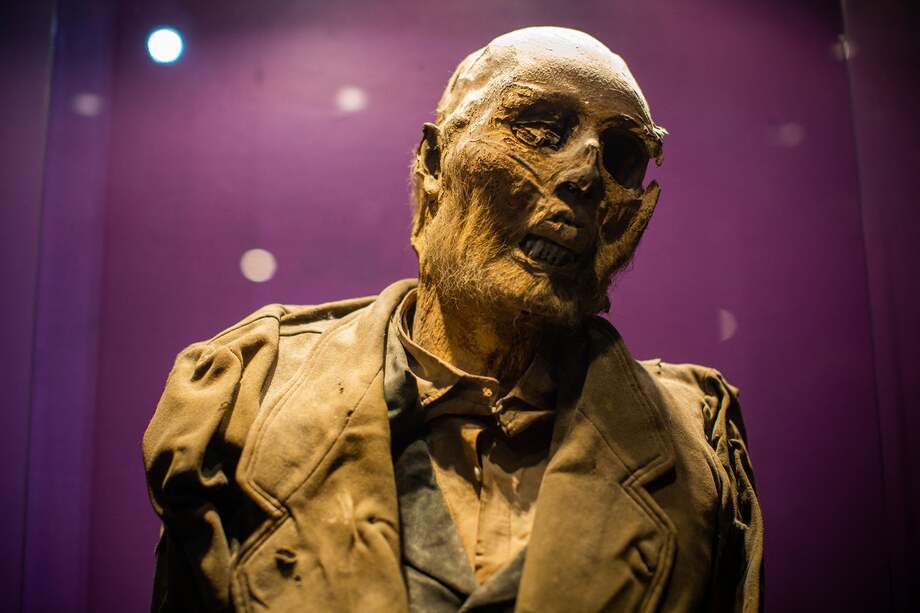 Detail of Dr. Remigio Leroy's mummy at the Museo de las Momias de Guanajuato in Guanajuato City, Mexico, taken on June 6, 2023. The mummies of Guanajuato are distributed in three museums in this municipality known internationally for its spectacular alleys and kilometers of tunnels, traces of a mining past. Most of them are displayed standing and in glass urns, with very little space between their skulls and the lights of the showcases. (Photo by Rodrigo Oropeza / AFP)