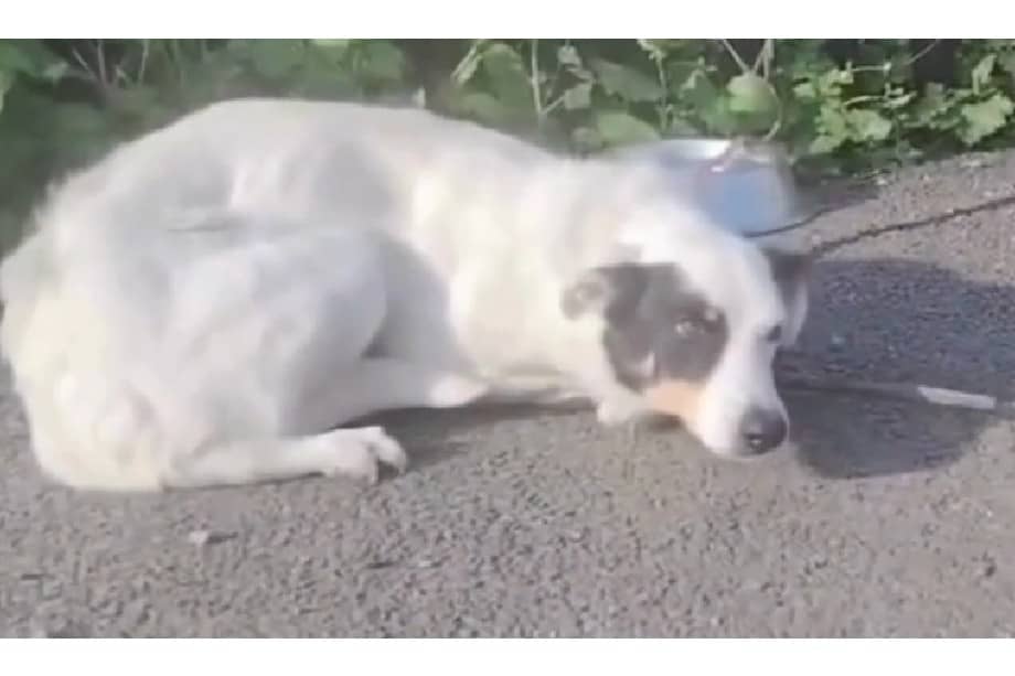 El abandono de Hope ha generado una ola de reacciones debido al misterio que rodea su pasado.