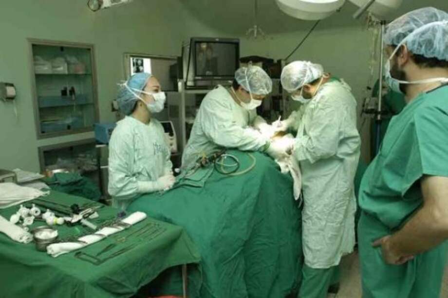 Donantes de órganos deben tener prioridad en listados para trasplantes: Procuraduría