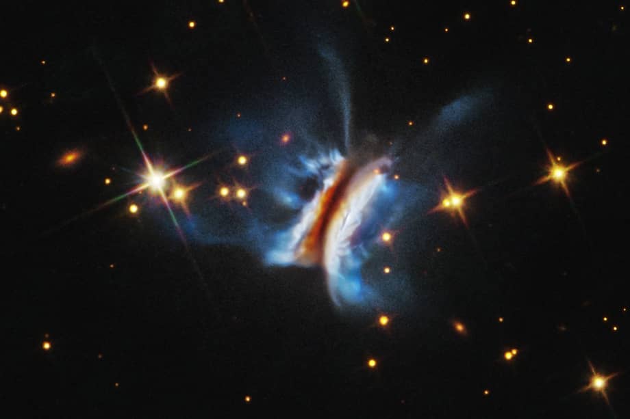 Este disco protoplanetario, nombrado como el Chivito de Drácula, en honor de la nacionalidad de los investigadores (provenientes de Transilvania y Uruguay), se asemeja a una hamburguesa.