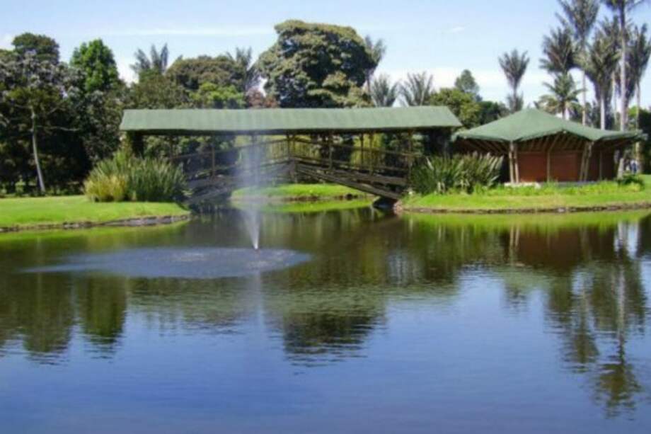 La transformación del Jardín Botánico de Bogotá