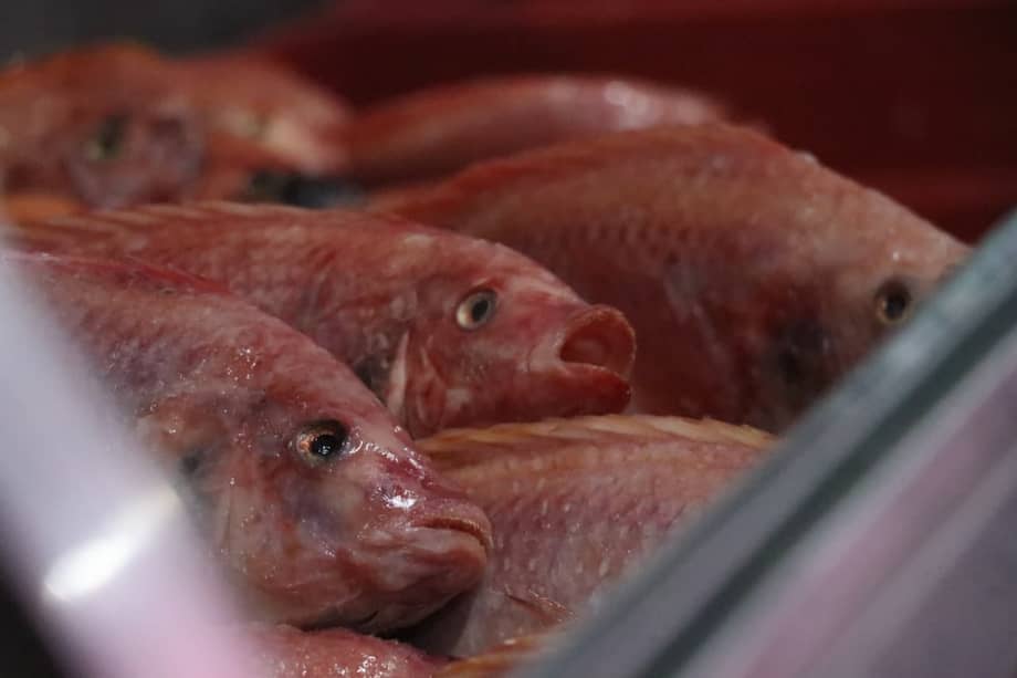 El consumo pasó de 5,3 kg a 11,4 kg per cápita al año en la última década.