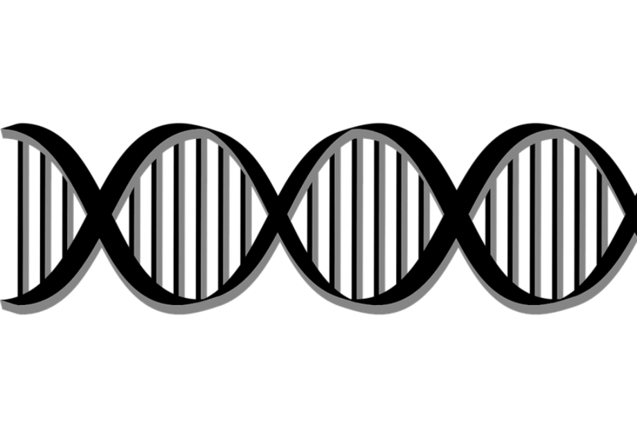 Un grupo de investigadores internacional recolectó muestras de 110 de 128 individuos, logró recuperar el ADN de 94 de ellos y utilizó los datos para determinar cómo se relacionaban entre sí.