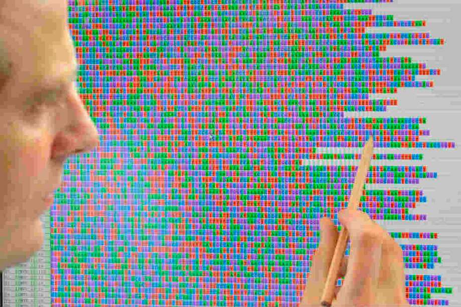 Los investigadores analizaron el ADN de 14 poblaciones de cuatro continentes. / 123rf