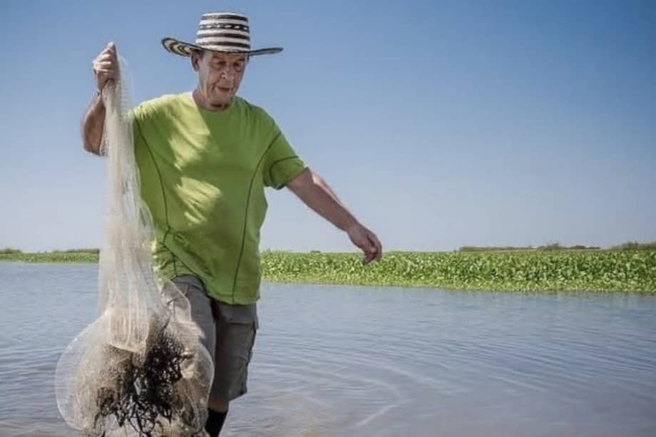 Germán Galvis, docente e investigador colombiano.