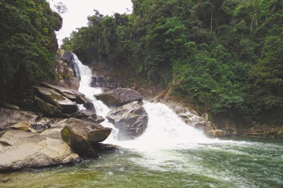 Una cuarta parte del territorio en el que tiene jurisdicción Cornare fue declarado área protegida en 2018.