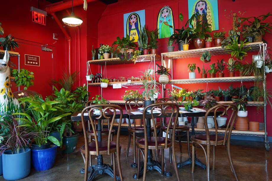 Disfrute de su café en Mae Mae Café rodeado de una variedad de plantas.