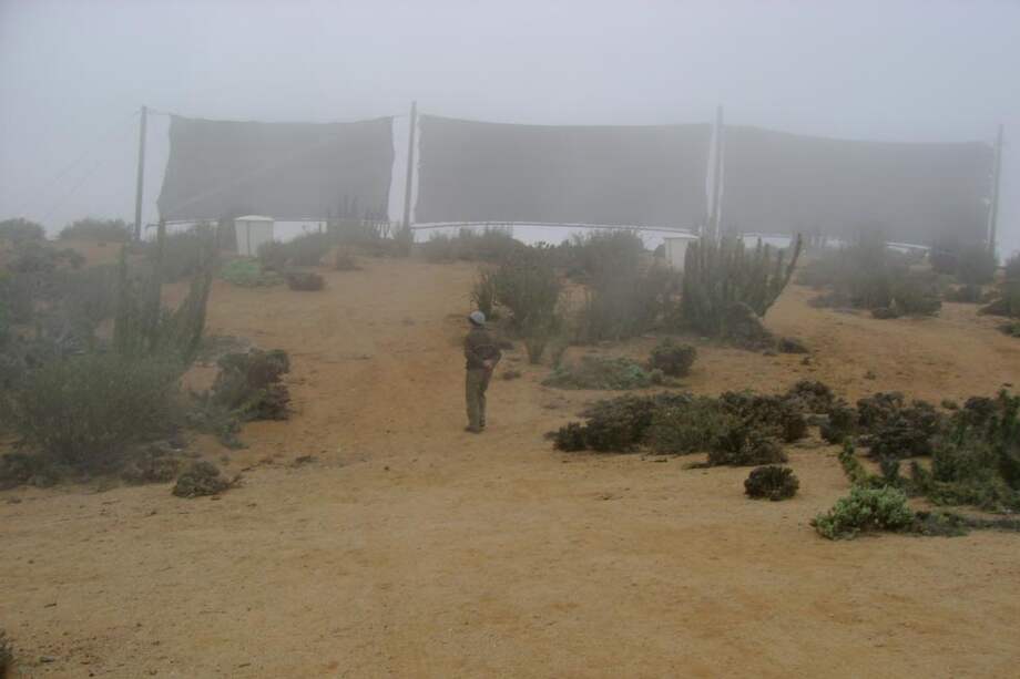 Los atrapanieblas han sido usados en Chile para consumo de agua y para riego por más de 50 años, generalmente en altitudes entre 600 y 1.200 metros sobre el nivel del mar. / Flickr - Cristian Ruiz