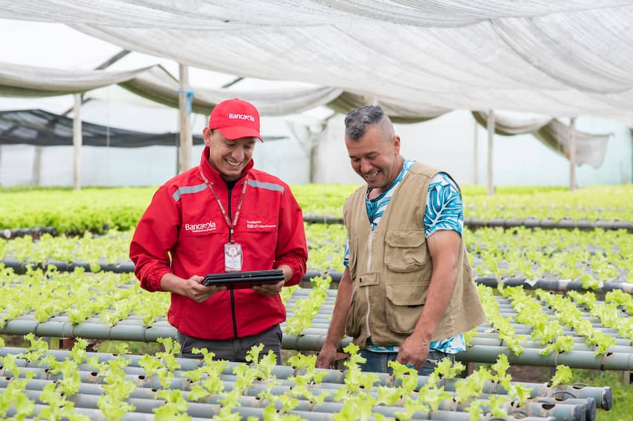 Con esta oferta integral de financiación verde, seguros y educación, Bancamía consolida su liderazgo en Microfinanzas Sostenibles.