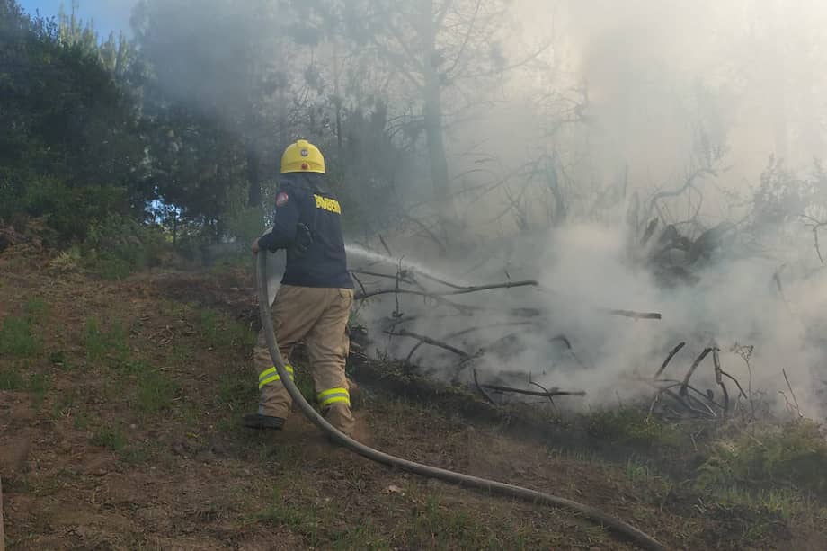 En lo corrido del año se han afectado más de 780 hectáreas de vegetación a causa de los incendios.