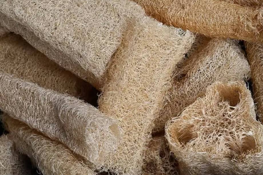 Los estropajos son una herramienta básica en cualquier cocina, pero ¿sabías que pueden ser útiles en muchos otros lugares de tu hogar?