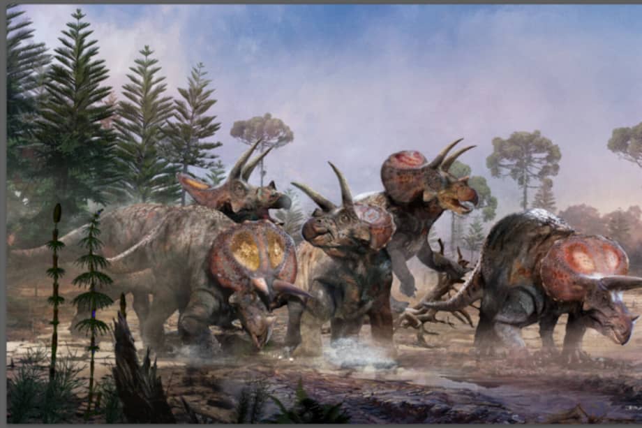 Spielberg tenía razón: triceratops vivía en manadas