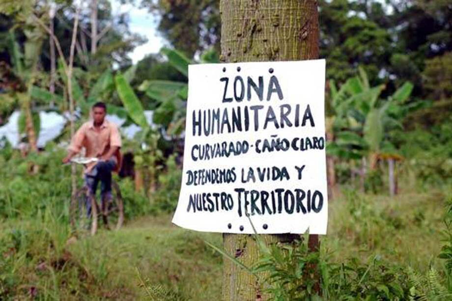 Así montaron los 'paras' su proyecto de aceite de palma