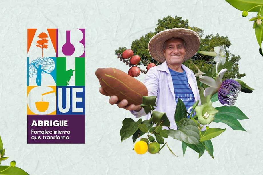 Este 22 de abril se presentarán los logros del proyecto.