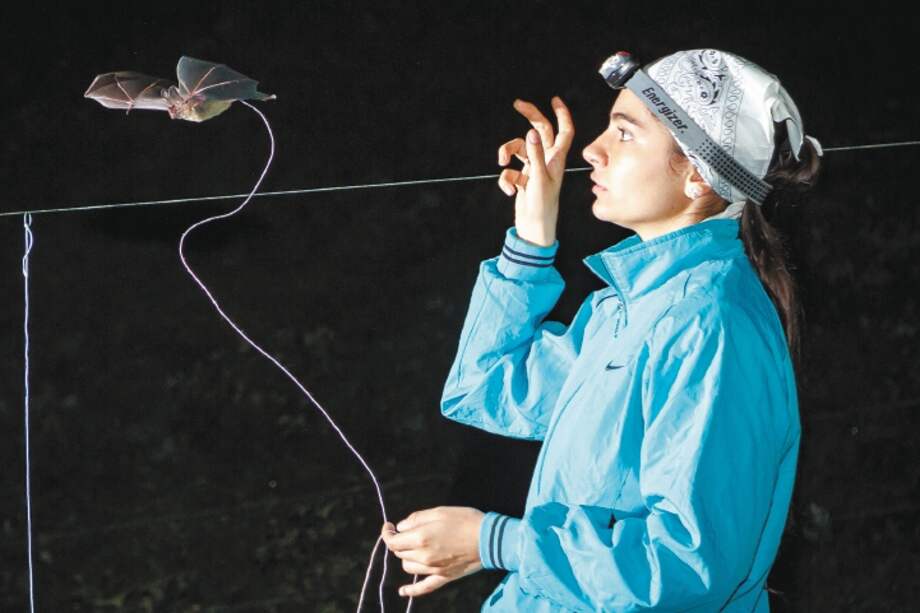 Los investigadores visitaron 30 fincas del Piedemonte Llanero y sel Eje Cafetero